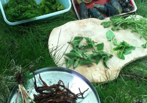 Coastal Wild Food